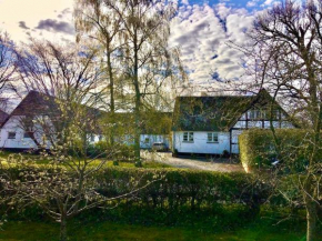 Hvidegaard Møn, Stege